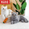 真智力仿真小猫咪公仔毛绒玩具小花趴猫白猫摆件儿童玩偶抱枕床上男女孩 黄色 30厘米(订阅收藏+送小挂件)仿真食物
