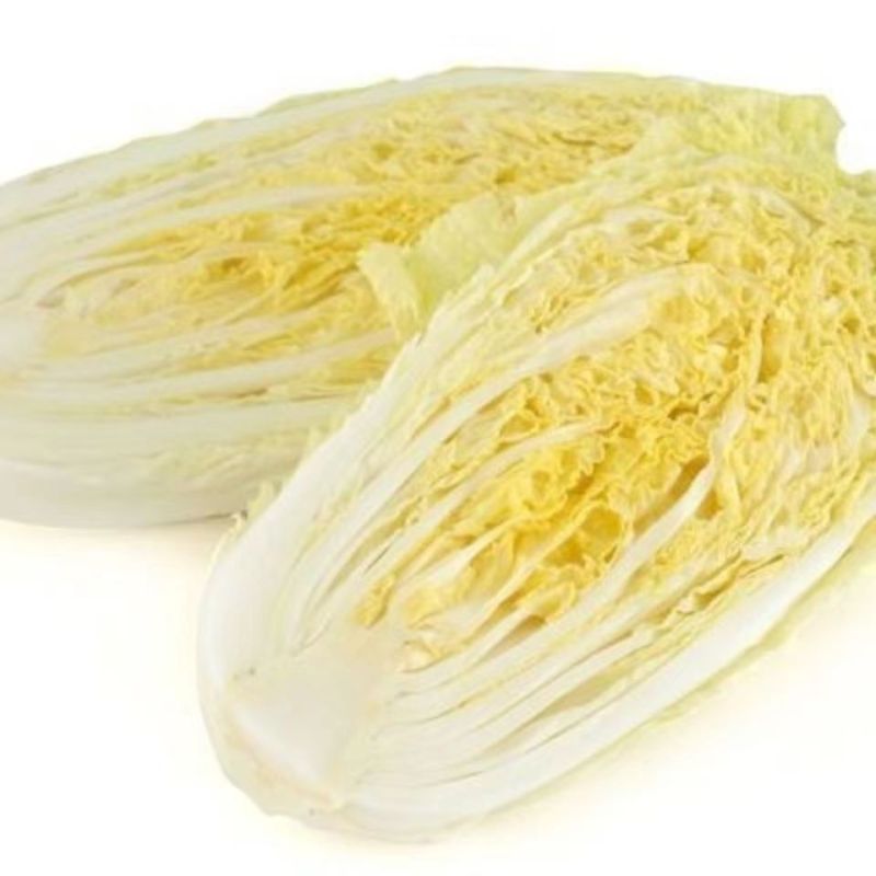 山东娃娃菜 2包6颗装 约2.4斤 小娃娃菜包心菜 火锅菜新高山娃娃菜