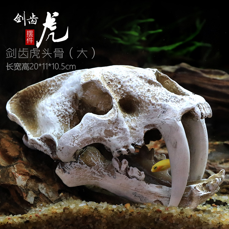 仿真恐龙骷颅头骨躲避屋树脂假山水造景头骨鱼缸水族箱装饰摆件高清大图
