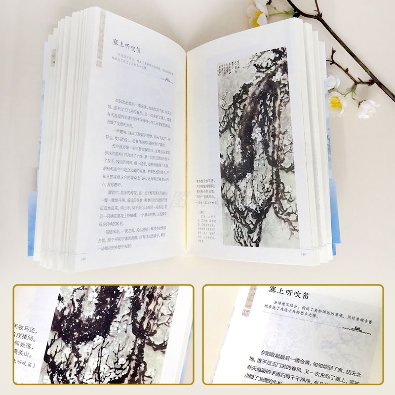 [正版]唐诗素描 新版 曾冬意境读本 中国古诗词鉴赏辞典古代诗词文学中学生小学生初中生课外读物书目书籍 诗词素描书高清大图