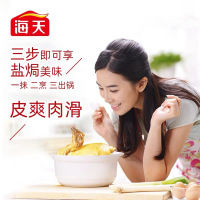 海天盐焗粉30g(6袋装共180g) 家用广东客家正宗盐焗鸡粉调味料