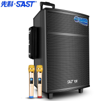 先科（SAST）12英寸广场舞音箱户外拉杆音响带麦克风蓝牙插卡低音炮商场活动充电音箱 标配+二只话筒