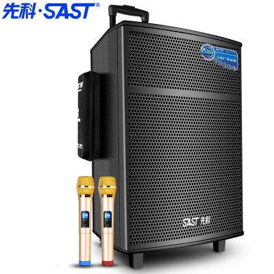 先科（SAST）12英寸广场舞音箱户外拉杆音响带麦克风蓝牙插卡低音炮商场活动充电音箱 标配+二只话筒