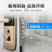 haotaitai好太太智能锁H6 指纹密码锁 家用防盗门电子磁卡全自动门锁电子锁通用型三锁舌锌合金指纹锁 智能门锁