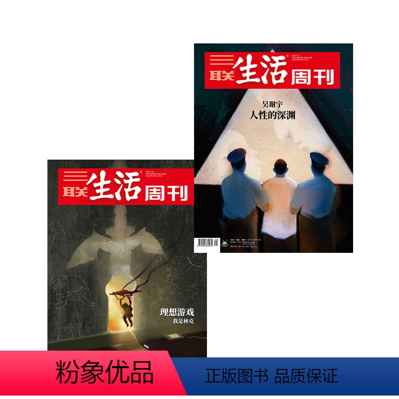 [正版]三联生活周刊2023年第29期1247 吴谢宇 人性的深渊+2023年第28期1246 理想游戏 我是林克(共