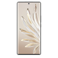 荣耀70 Pro 12GB+256GB 亮黑色 MX800三主摄 旗舰芯片 100W超级快充 5G手机
