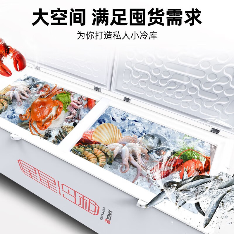 星星(XINGX)BD/BC-618GD冰柜618升商用卧式大冷柜 冷藏冷冻转换商用保鲜设备 雪糕冰冻柜急冻速冻大冰柜高清大图