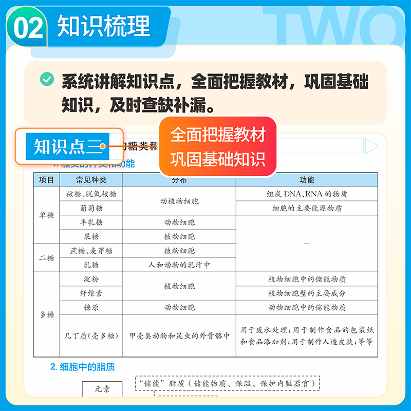 [秒解物化生]+[秒背政史地] [正版] 秒解物化生高中2025 高考妙解物理化学生物知识点汇总干货知识大盘点人教版一本高清大图