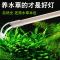 鱼缸灯LED水灯架缸灯水族箱防水照明全光谱藻缸灯支架灯
