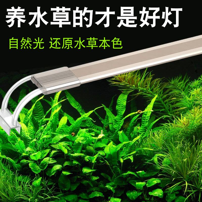 鱼缸灯LED水灯架缸灯水族箱防水照明全光谱藻缸灯支架灯图片
