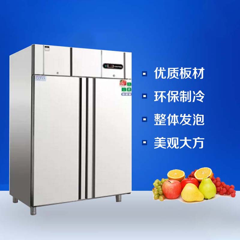 美厨(MAXCOOK) 直冷双大门冷冻柜 TFX2 1200*705*1950 910L