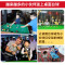 执爱台球桌家用儿童大号桌球迷你小台球玩具男孩兴趣培养小孩5亲子玩具6-10岁8桌面游戏节日生日礼物