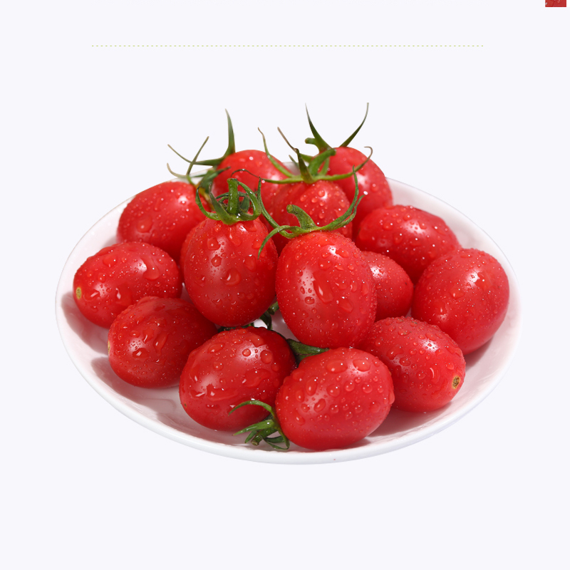 千禧圣女果小番茄樱桃西红柿新鲜蔬菜25kg