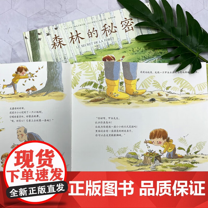 森林的秘密 卢克•福克卢勒等 著 绘本高清大图