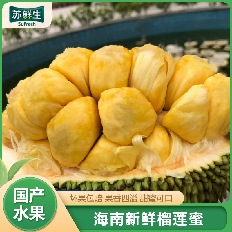 【苏鲜生】海南榴莲蜜 2-3斤 应季热带新鲜水果手撕软糯香甜湿苞