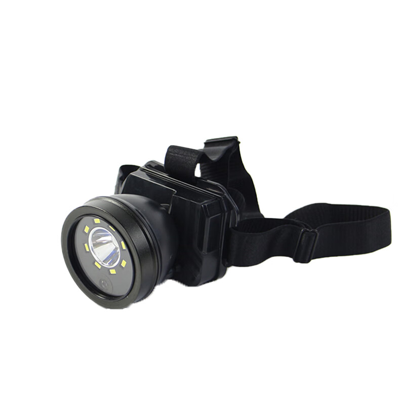 金陵乐信 LXRT-8117 48W 220V IP66 白光4500K LED光源 LED智能头灯 1.00 台/只