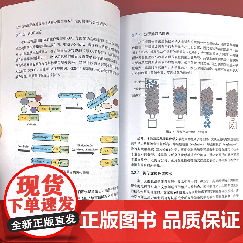 蛋白质晶体学与药物发现 蛋白质晶体学研究原理与方法 蛋白质晶体学在药物研究中应用 蛋白质晶体学 药物设计等专业初学者参考高清大图