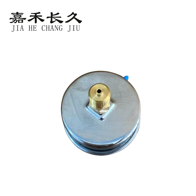 嘉禾长久 耐震压力表轴向 YTN50Z 0-16Mpa 块高清大图