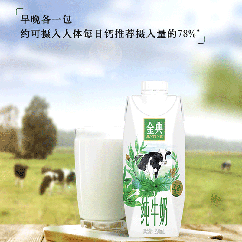 伊利 金典纯牛奶梦幻盖250ml*10高清大图
