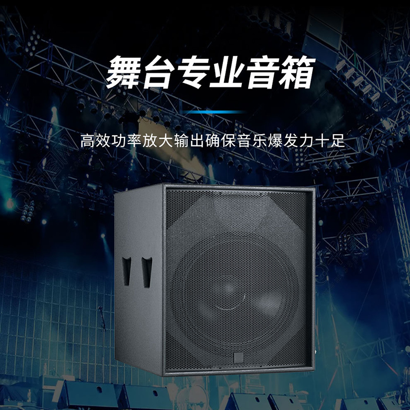 润普国产化会议室展厅教室礼堂报告厅18英寸低音专业会议音响/音箱/喇叭扬声器RP-HYD659