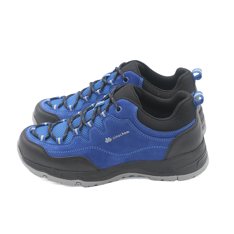 燕舞BD2EQ123101J1H多功能安全鞋35-45码(计价单位:双)高清大图