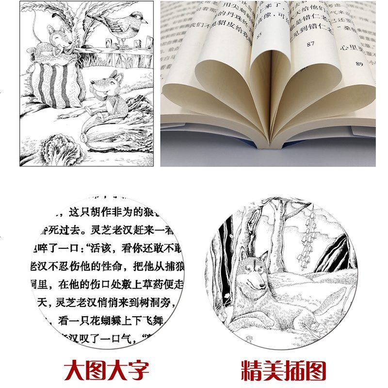 寻找快活林 杨红樱著正版 长江少年儿童出版社 非注音版 四五六年级绘本故事百年百部中国儿童文学经典书系中小学生推荐阅