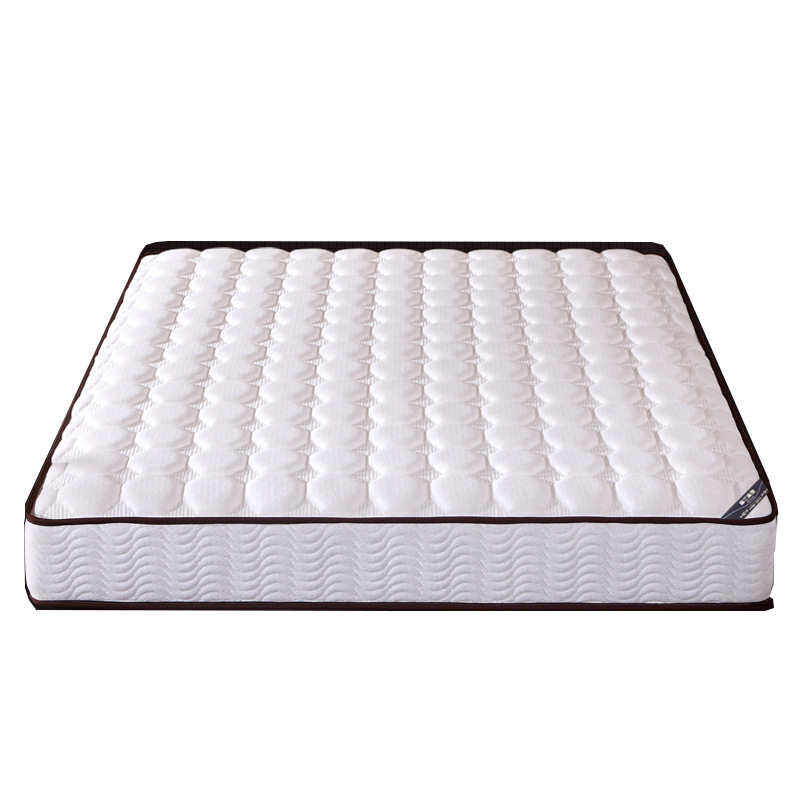 臻远 ZY-RML-H09201 乳胶床垫 弹簧床垫 100*200*23CM(单位:张) 白色