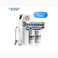 史密斯（A.O.Smith）家用净水器R600ETD