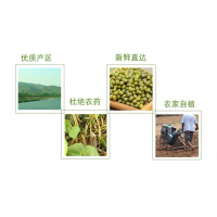 童欣齋 原生态无添加绿豆 五谷杂粮粗粮绿豆汤绿豆粥原料 夏季农家甜汤小绿豆 小豆绿豆类 500g*3