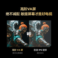 雷鸟雀5 25款50英寸4K超高清智能网络WiFi语音 2+32GB 液晶平板电视机50F295C