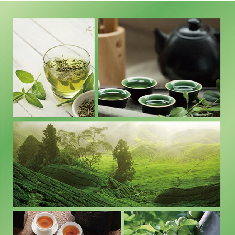 康师傅蜂蜜茉莉味绿茶550ml*4瓶箱装 茶饮料(新老包装自然替换)