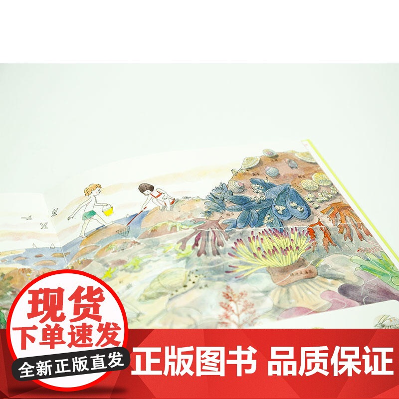 手绘小动物百科(200种生活中*常见的小动物趣味知识)高清大图