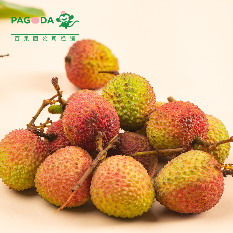PAGODA A级-海南妃子笑荔枝5斤礼盒装