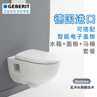 吉博力(GEBERIT)挂墙式壁挂式马桶 家用坐便器 仕爱座便器配藏隐蔽式水箱套餐