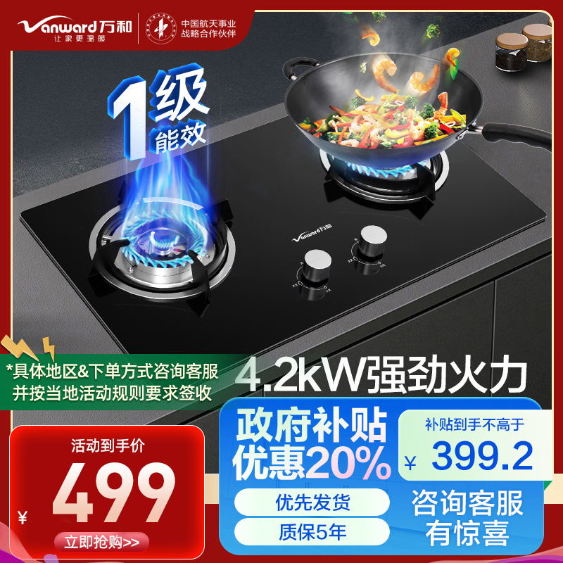 万和(Vanward) 一级能效 燃气灶液化气灶具 煤气灶双眼灶 台式灶具嵌入式灶两用 燃气炉具自营 JZY-B3L20