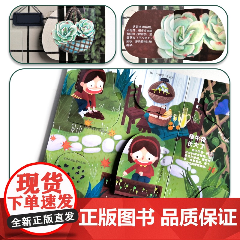 呦呦童正版 你问我答翻翻书揭秘植物 一问一答科普答疑解惑植物小百科 幼儿宝宝亲子启蒙0-3-6岁趣味阅读早教益智机关玩具高清大图