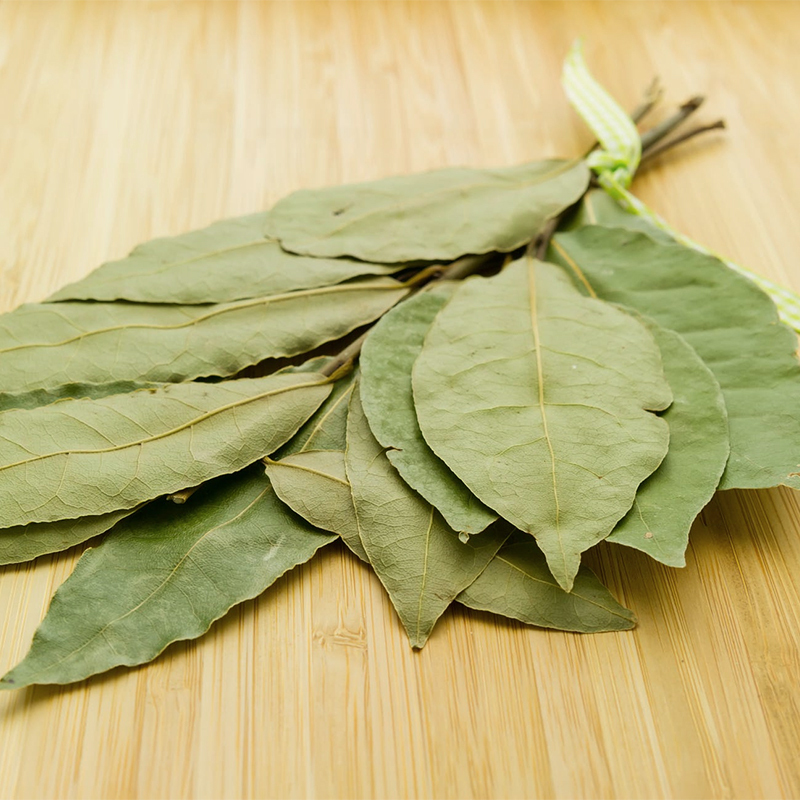 友加月桂叶25g香叶川菜烧菜炖菜调料料友加食品卤包香料配料袋装调味增香