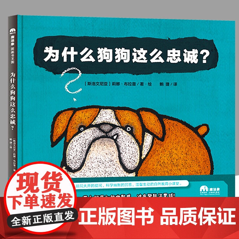 为什么狗狗这么忠诚 魔法象 图画书国 趣味轻科普图画书 斯洛文尼亚国*级图画书作家莉娜布拉普系列代表作 绘本图画书 广高清大图