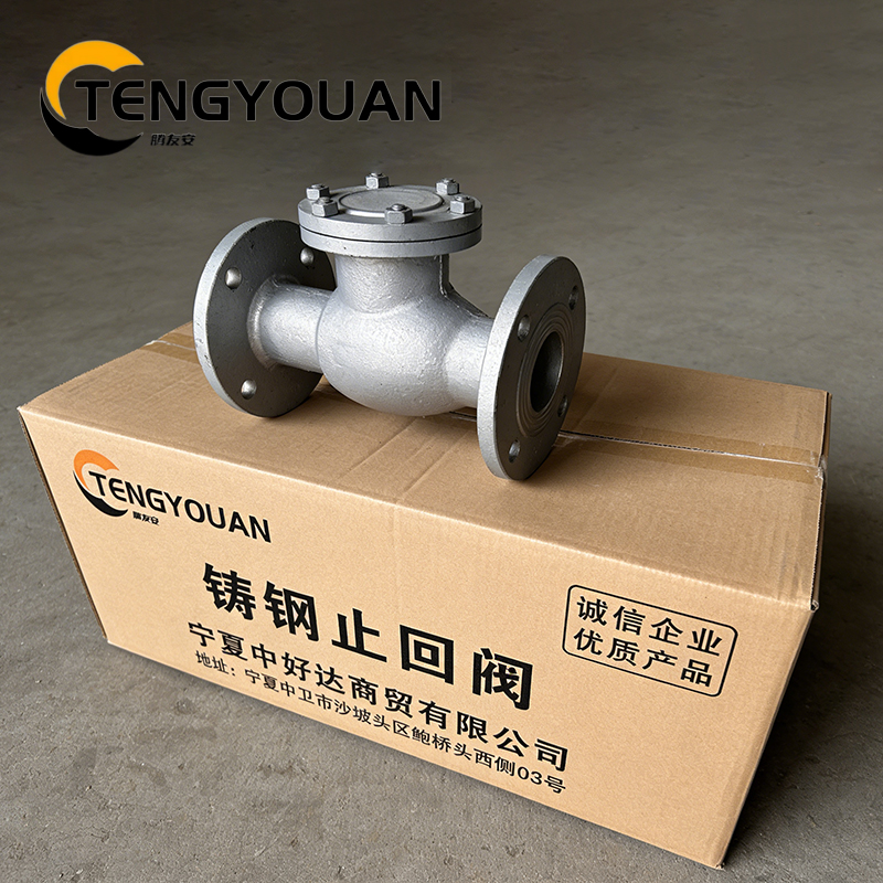 腾友安铸钢止回阀DN65/个高清大图