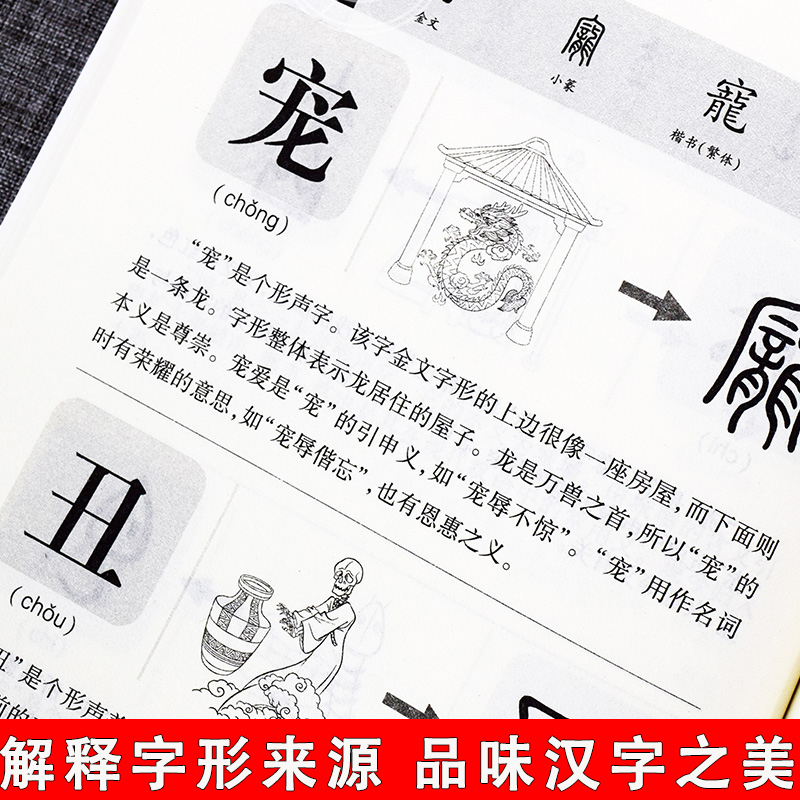 [醉染正版]说文解字正版+汉字王国全2册许慎著 给孩子的文字演变图解 少儿小学生说文解字部首今释儿童版大全集 汉字奥秘文高清大图