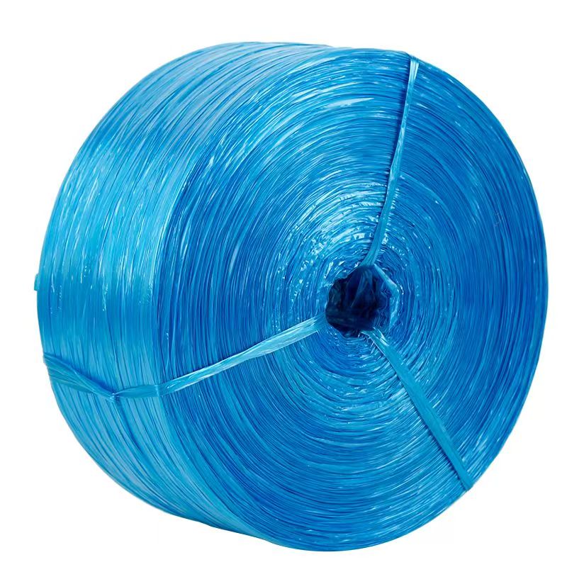 欣欣妍宸 塑料绳捆扎绳打包绳 2500g/卷高清大图