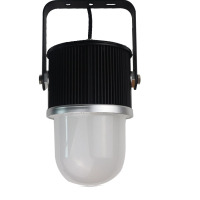 鼎晟丰(DSF) DSFG-920A 30W IP66 5500K LED环照灯 (计价单位:个) 黑色