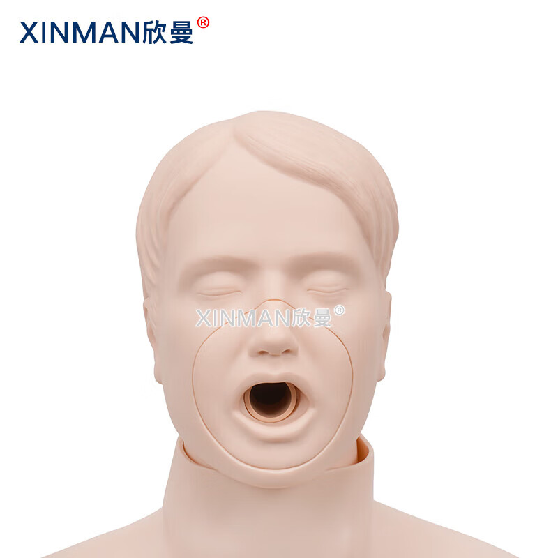 欣曼科教 高级成人气道梗塞及CPR模型 成人海姆立克急救训练模拟人 气道异物梗阻模型XM-CPR156高清大图