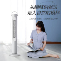 先锋(SINGFUN)塔扇电风扇家用落地定时无叶风扇柔风摇头机械立式风扇DTS-G17