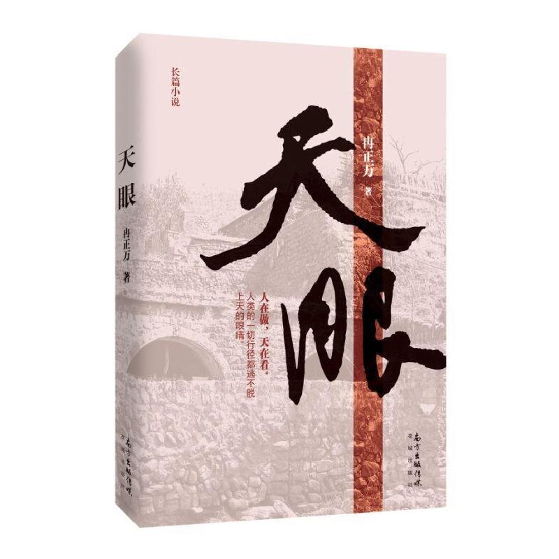 正版新书】天眼冉正万9787536076549