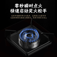 美的燃气灶煤气灶双灶家用嵌入式天然气猛火灶炉灶台式液化气灶具 钢化玻璃 液化气