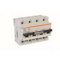 施耐德 Schneider Electric 小型断路器,NG125H D 63A 4P(包装数量 1个)