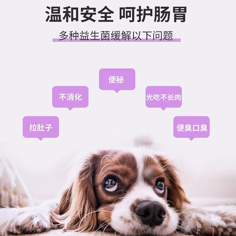 宠物益生菌狗狗肠胃宝猫咪宠物小猫幼犬调理肠胃泰迪金毛腹泻拉稀 宠物活性益生菌片200粒装(1瓶)