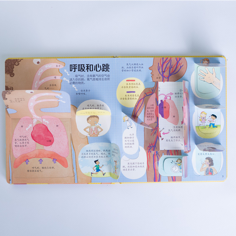 [M]揭秘身体/尤斯伯恩看里面(低幼版)-9787544856768