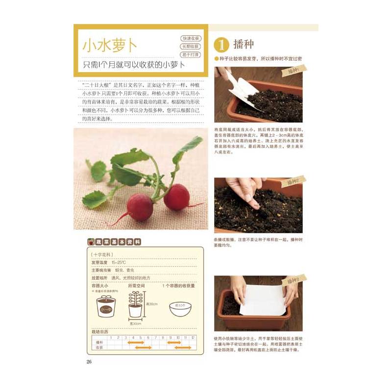 [正版]实用的蔬果盆栽:阳台小菜园 日本靓丽出版社 种菜书 家庭种菜书家庭种菜书快乐农场种菜 我家的阳台菜园